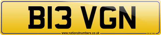 B13 VGN