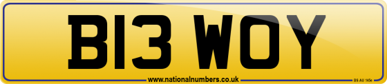 B13 WOY