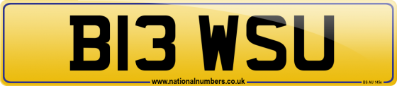 B13 WSU