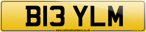 B13 YLM