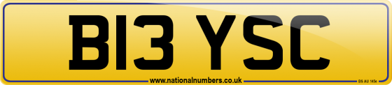 B13 YSC