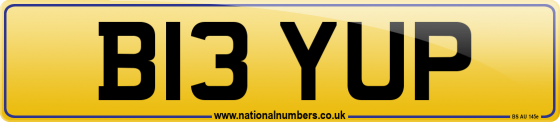 B13 YUP