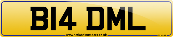 B14 DML
