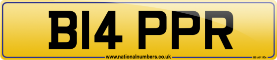 B14 PPR