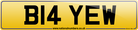 B14 YEW