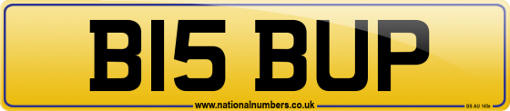 B15 BUP