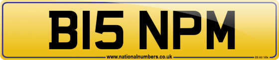 B15 NPM