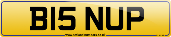 B15 NUP
