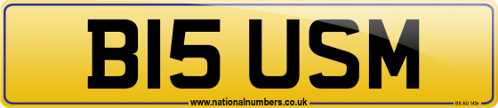B15 USM