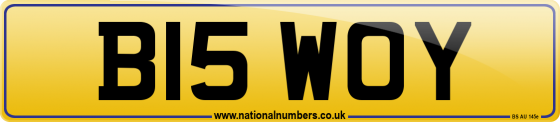 B15 WOY