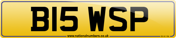 B15 WSP