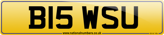 B15 WSU