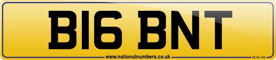 B16 BNT