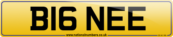 B16 NEE