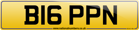 B16 PPN