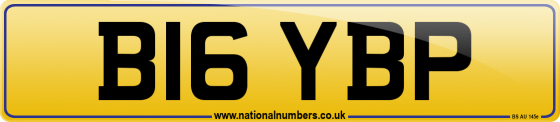 B16 YBP