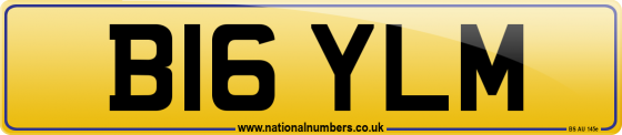 B16 YLM