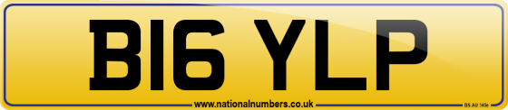 B16 YLP