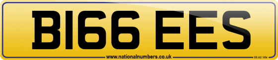 B166 EES