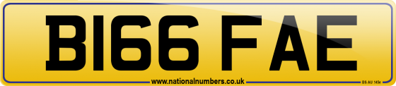 B166 FAE