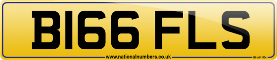 B166 FLS