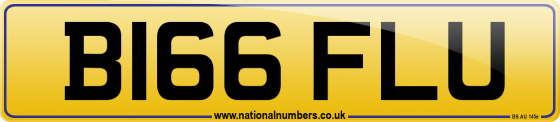 B166 FLU