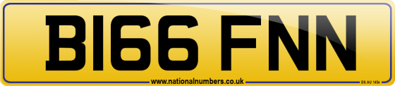 B166 FNN