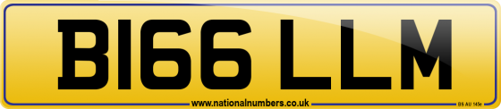 B166 LLM
