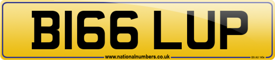 B166 LUP