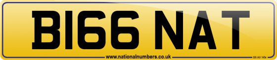 B166 NAT