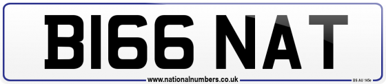 B166 NAT