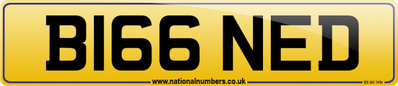 B166 NED