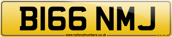 B166 NMJ