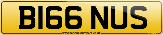 B166 NUS