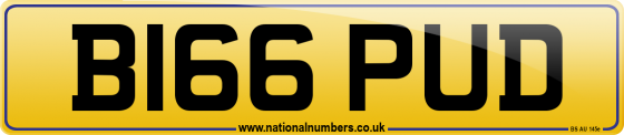 B166 PUD