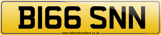 B166 SNN
