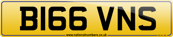 B166 VNS