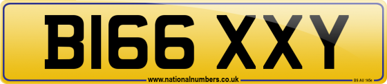 B166 XXY