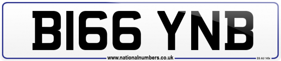B166 YNB