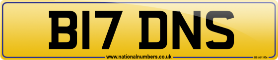 B17 DNS