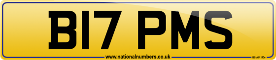 B17 PMS
