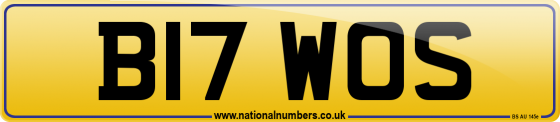B17 WOS