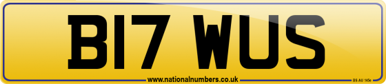 B17 WUS