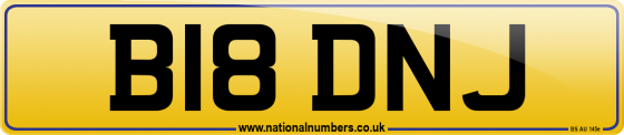 B18 DNJ