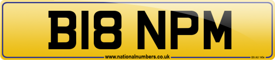 B18 NPM