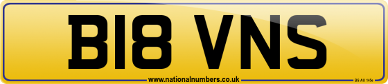 B18 VNS