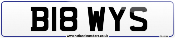 B18 WYS