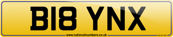 B18 YNX