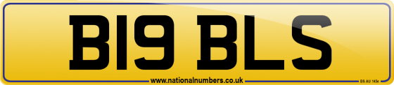 B19 BLS