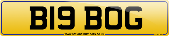 B19 BOG